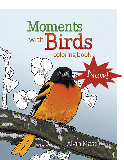 Moments with Birds coloring book